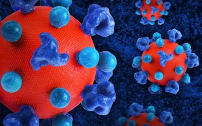 maladies infectieuses