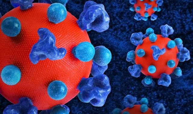 maladies infectieuses
