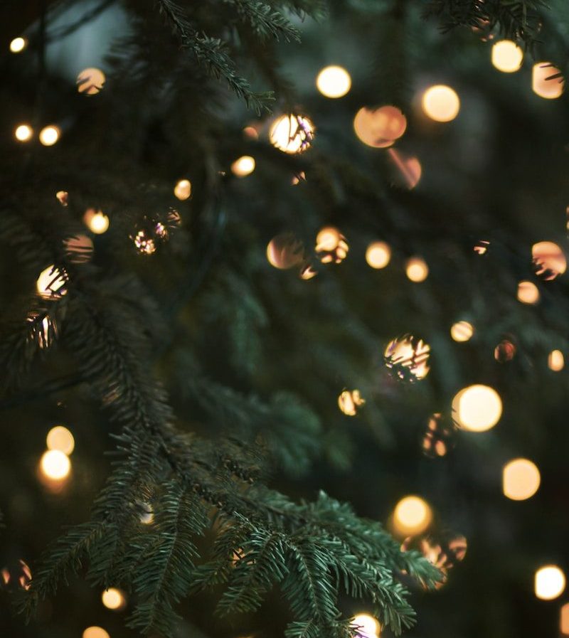 cérémonie de Noël