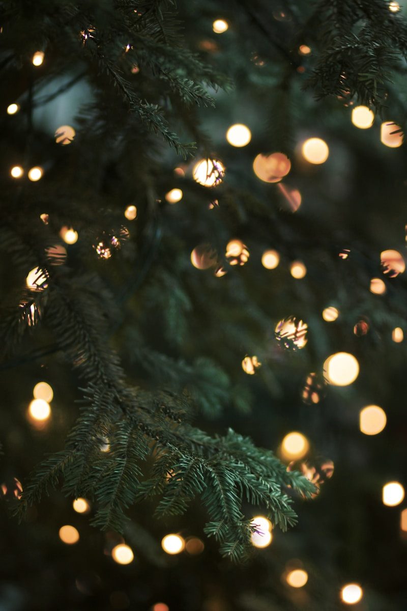 cérémonie de Noël