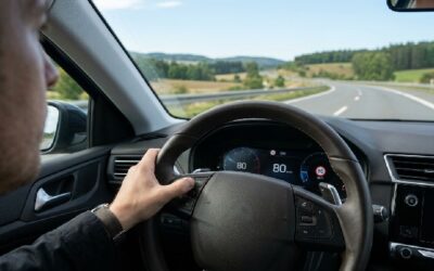 limitateur de vitesse